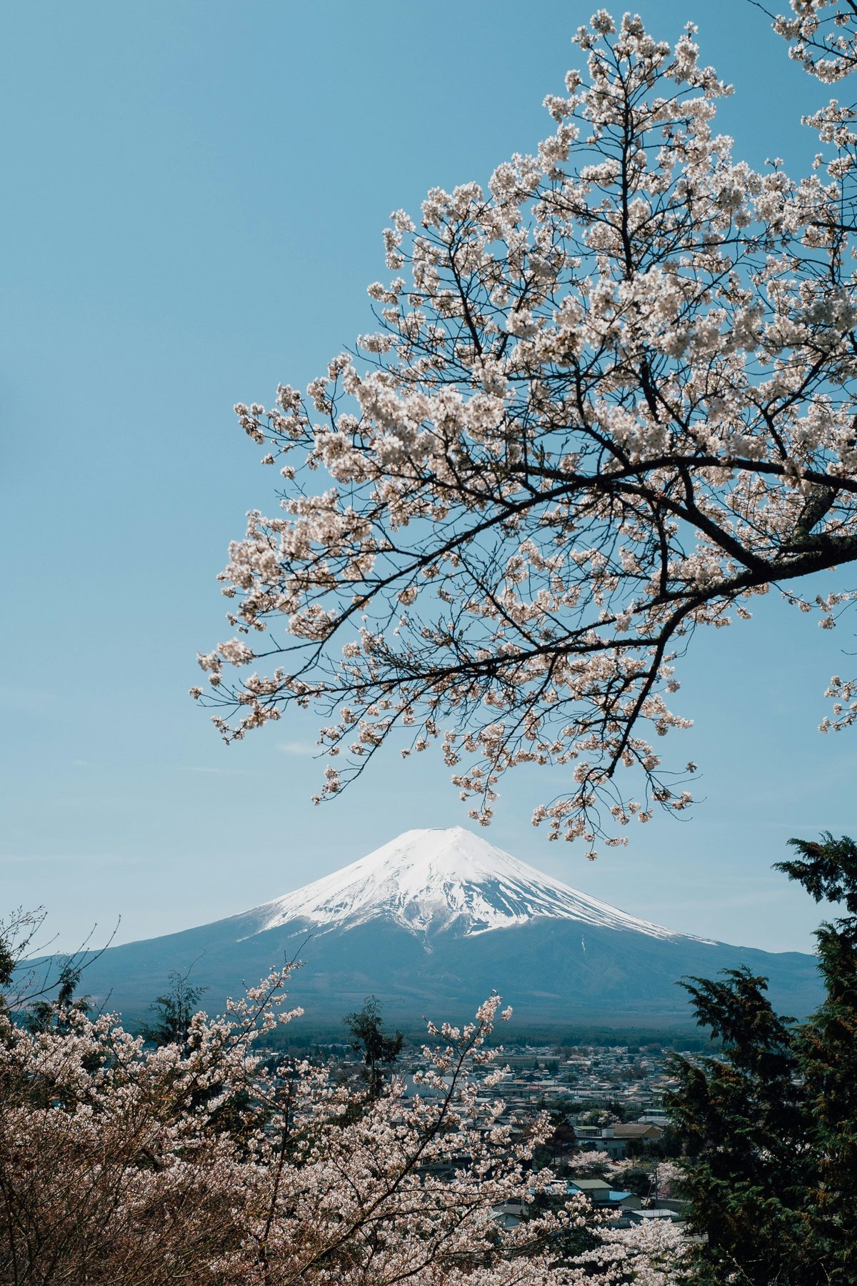 Japan Photography Expedition