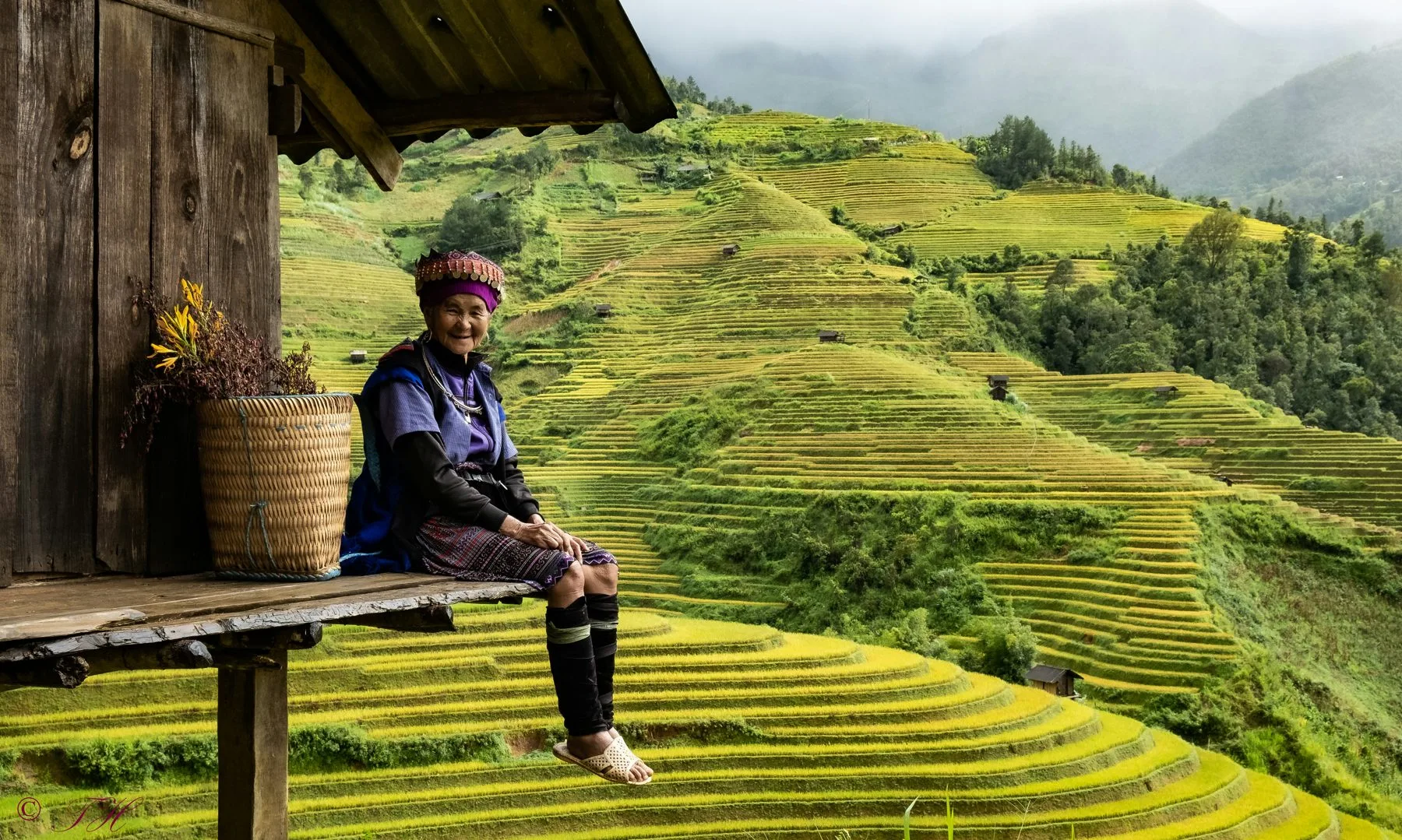 Rice terraces